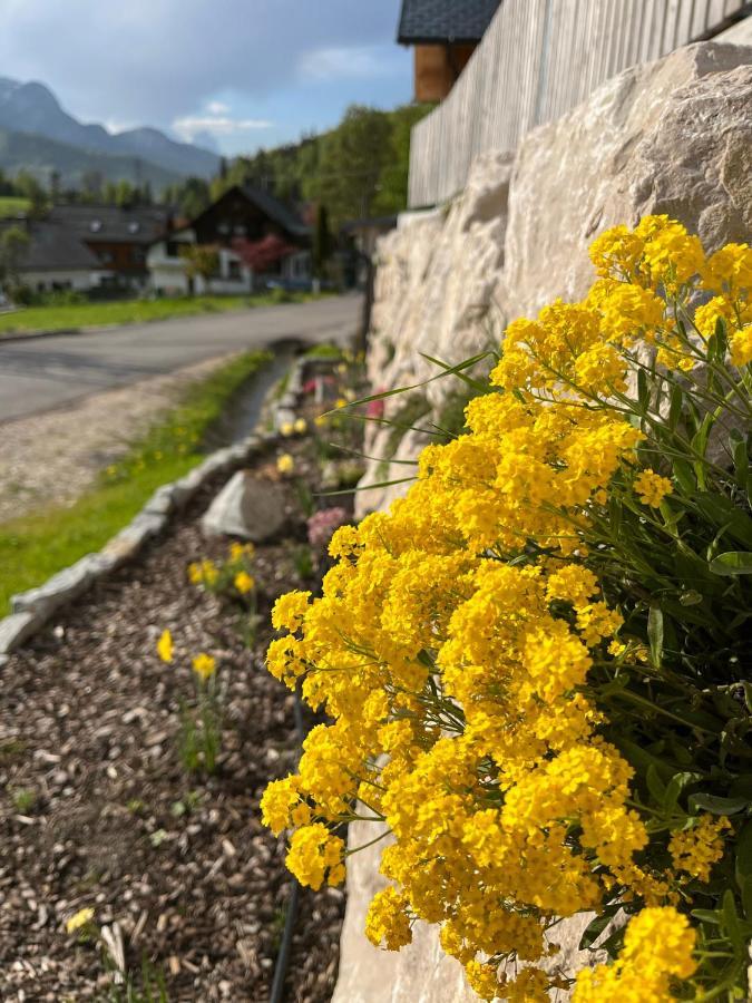 Ferienwohnungen Kalss Nahe Altaussee "바트아우시 외부 사진